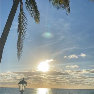 Meet your Posher, Remy